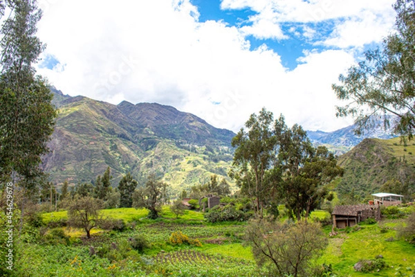 Obraz landscape in the summer