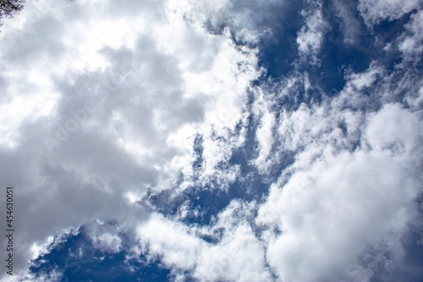 Fototapeta clouds in the sky