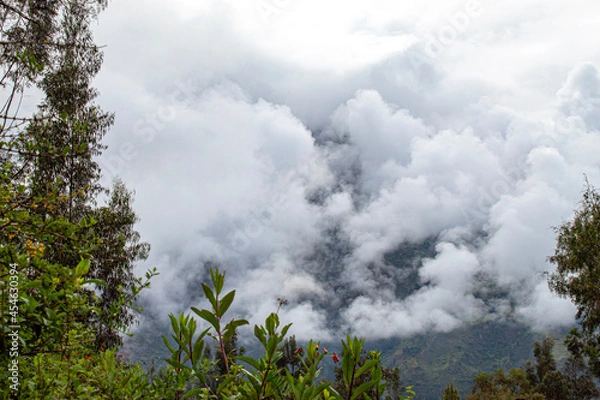 Fototapeta clouds over the forest