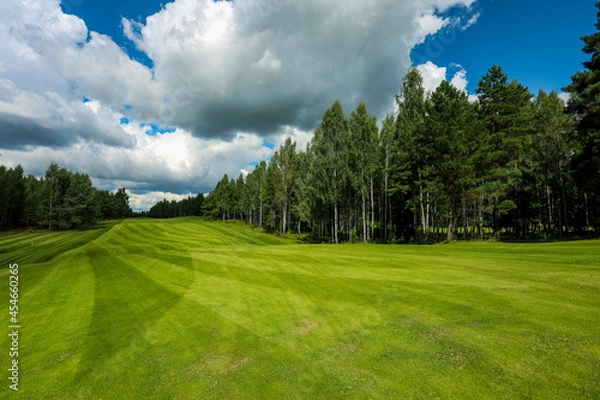 Fototapeta Golf course, landscape, green grass on the background of the forest and a bright sky with clouds. High quality photo
