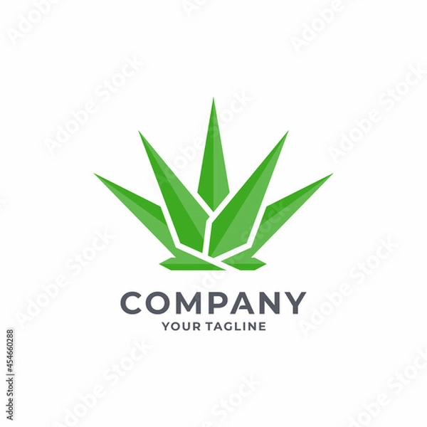 Obraz Creative  Agave Logo Design Vector