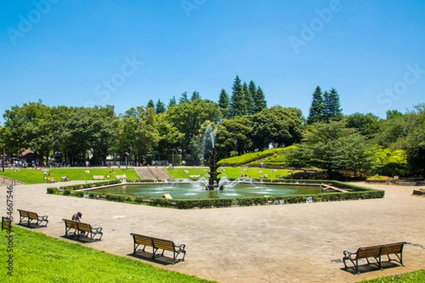 Obraz 快晴の世田谷公園