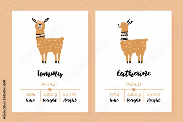 Fototapeta A set of children's posters, height, weight, date of birth. Lama