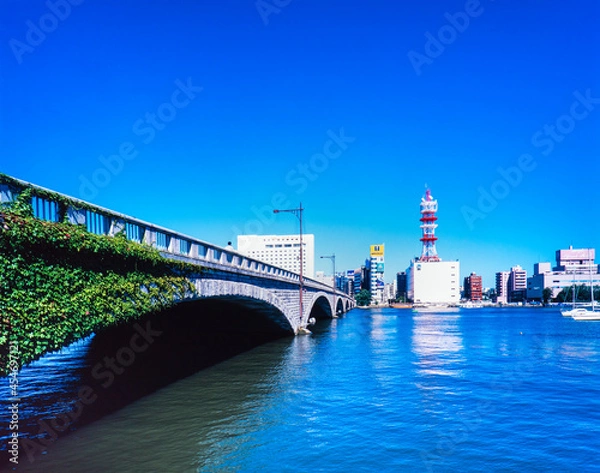 Obraz 新潟県　新潟市　信濃川と万代橋