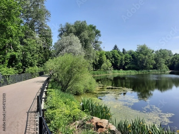 Obraz river in the park