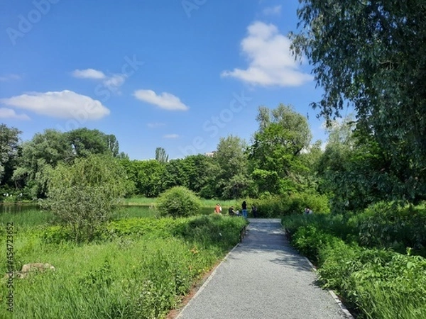 Obraz path in the park