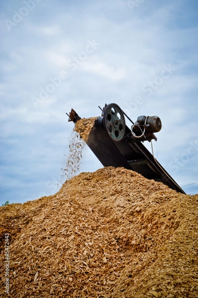 Obraz Biodegradowalne odpady z drewna