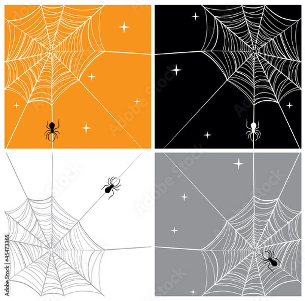 Fototapeta Vector Spider & SpiderWeb Backgrounds