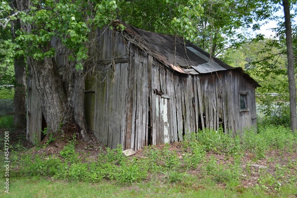 Fototapeta Old Shed in Summer