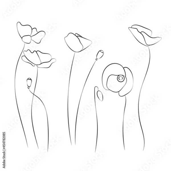 Fototapeta Set poppy flower, line drawing. Wildflowers, outline floral design elements isolated on white background,