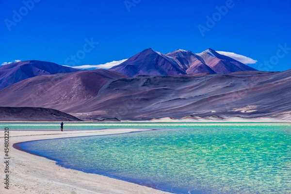 Obraz Laguna Salar de Talar with the Andes Mountain, San Pedro de Atacama, Antofagasta Region, Chile
