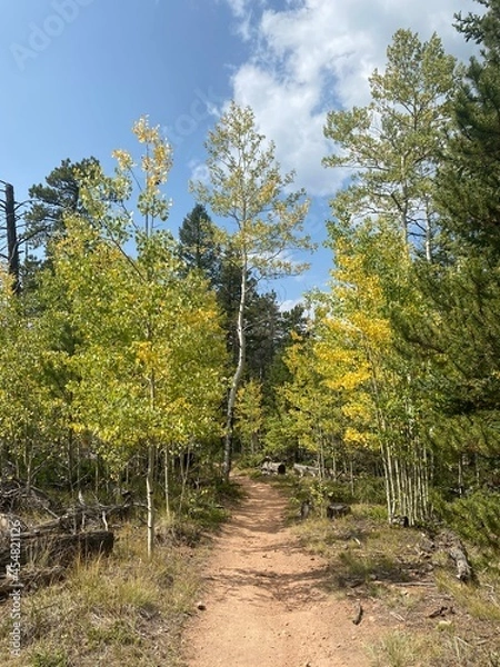 Fototapeta autumn in the mountains