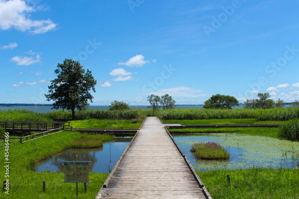 Obraz 霞ヶ浦総合公園