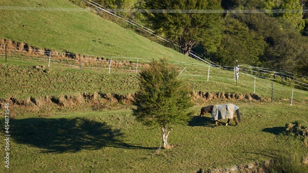 Obraz Hobbiton outskirts