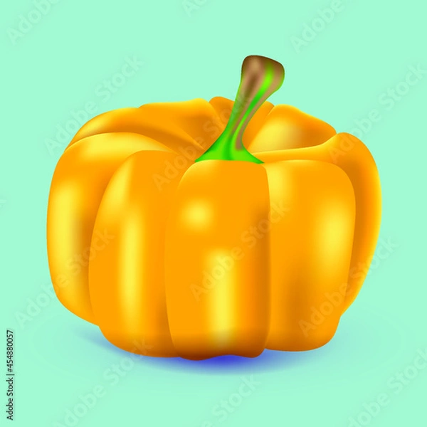Fototapeta Realistic vector illustration. Pumpkin on a uniform background