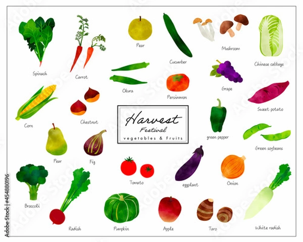 Obraz カラフルな水彩にじみのある野菜イラストセット