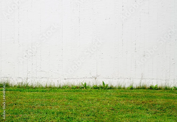 Obraz Green grass and white wall