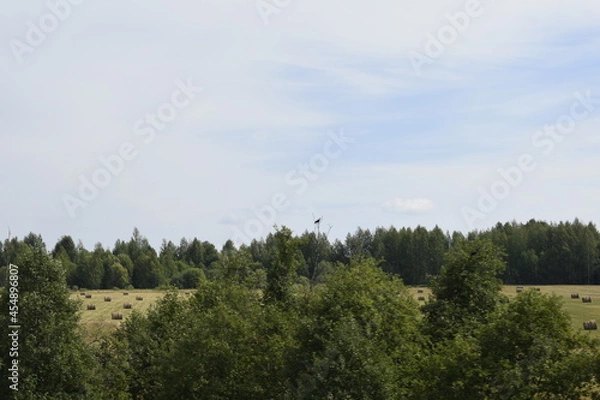 Fototapeta landscape with hay bales