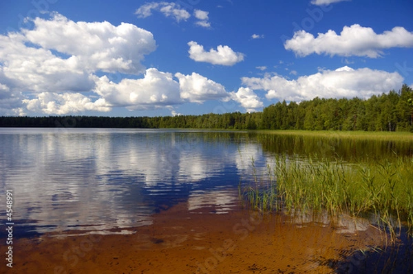 Fototapeta Lake in-field. A bright summer sun. White clouds. Blue water.