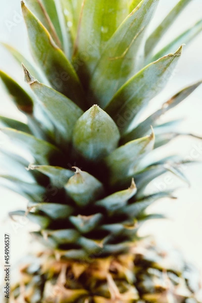 Fototapeta healthy pineapple