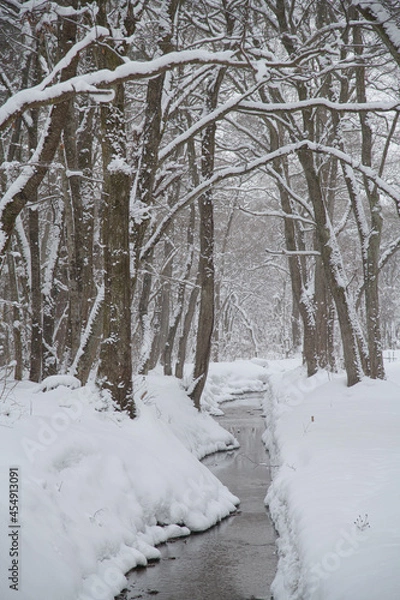 Fototapeta 雪の積もる冬の森と川