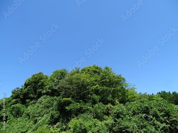 Fototapeta 青空と夏の里山