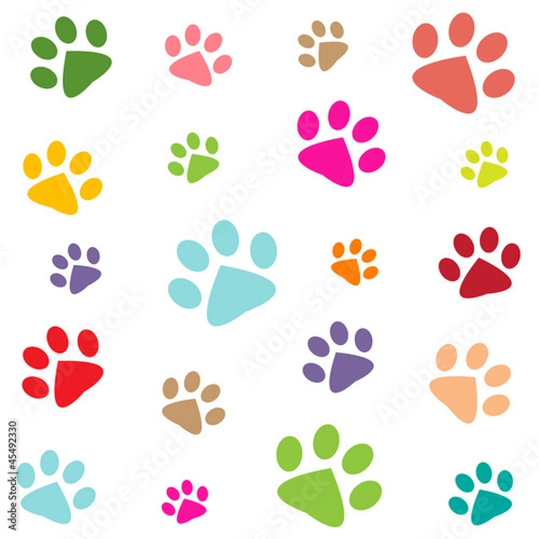 Obraz colored pattern with paw prints