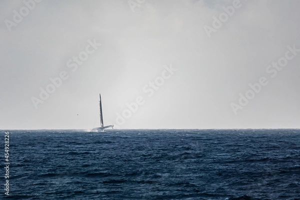 Fototapeta Trimaran de course	