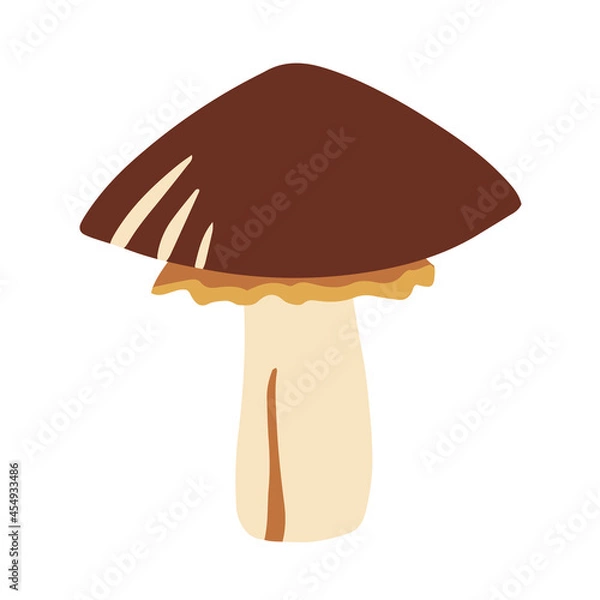 Obraz Vector mushroom autumn symbol.  Isolated on a white background.