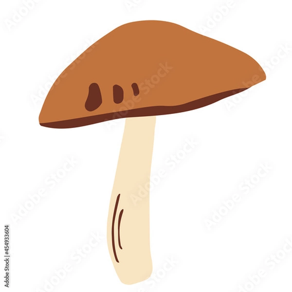 Obraz Mushroom with a brown cap.