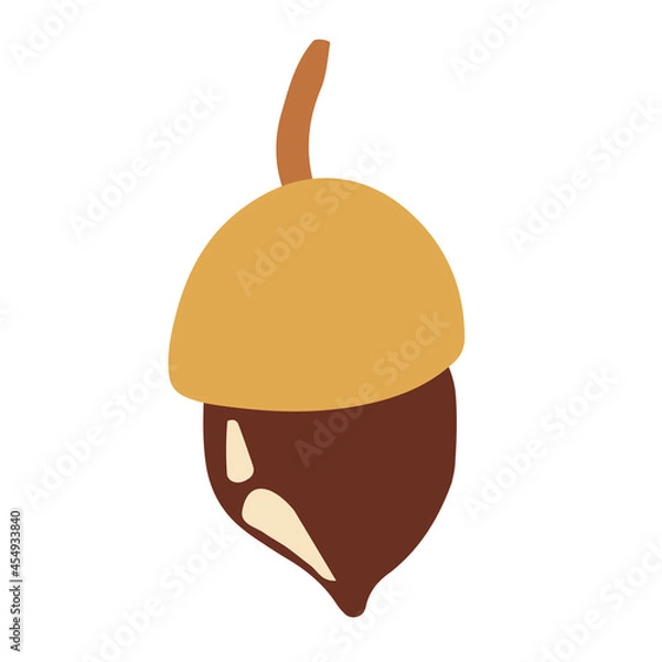Obraz Acorn image graphic design. Vector stock illustration. 