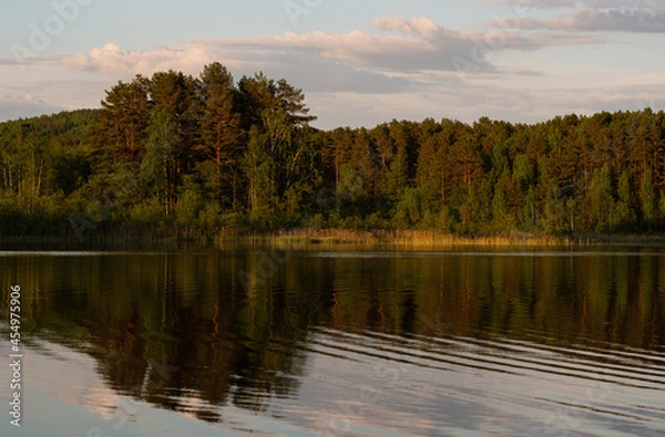 Obraz Pine trees near the lake at sunset