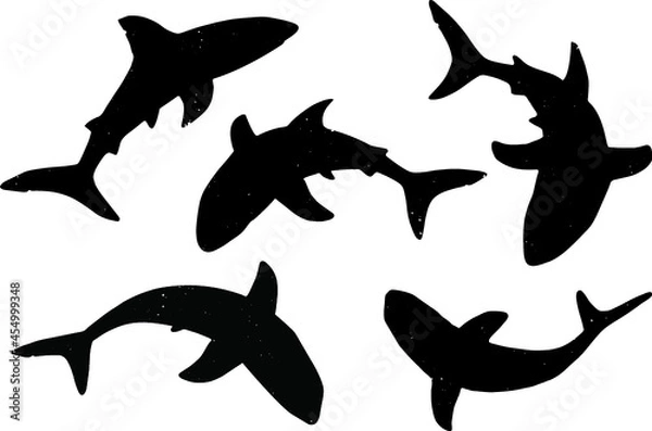 Obraz Shark silhouettes