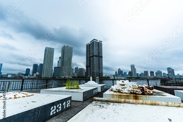 Obraz downtown city skyline