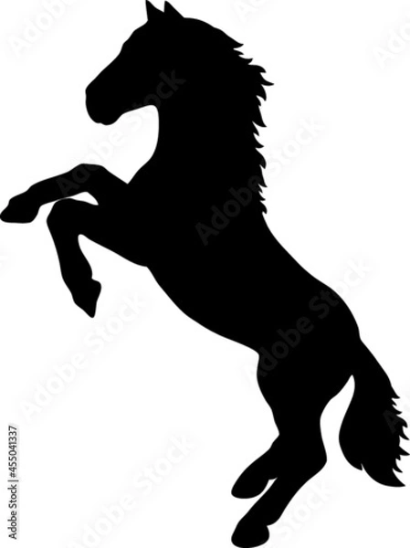 Obraz Horse silhouette