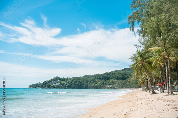 Obraz Beach with coconut trees and mountains.View of the coast of the island of island.