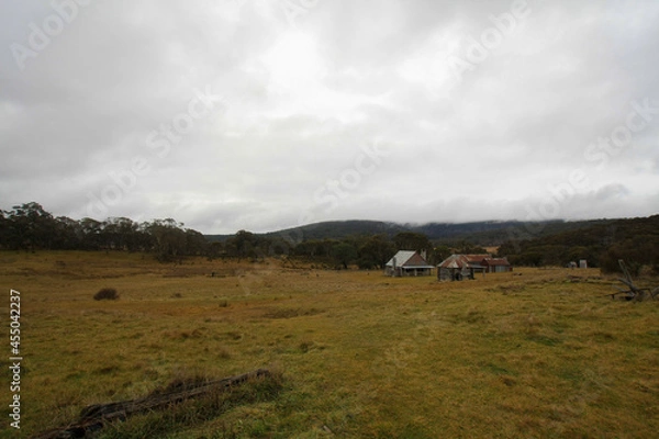 Obraz Australian wilderness