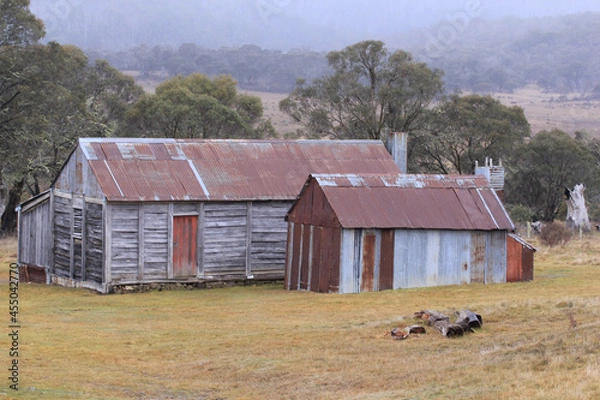 Obraz Australian bush huts