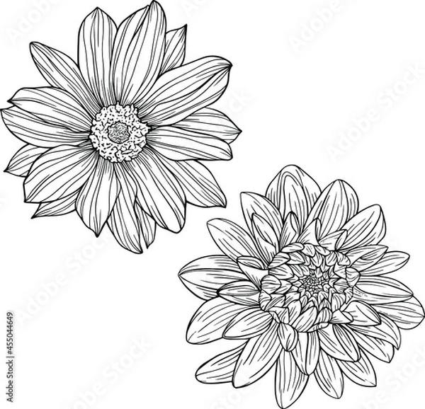 Fototapeta Flowers isolated on white. Hand drawn line vector illustration. Eps 10