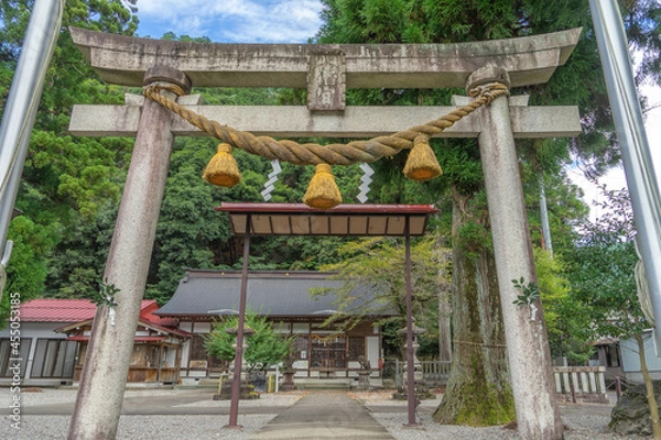 Fototapeta 八幡神社