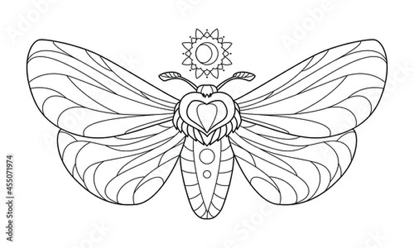 Fototapeta Butterfly, night-fly. Outline vector illustration for coloring book. Antistress for adults and children. 