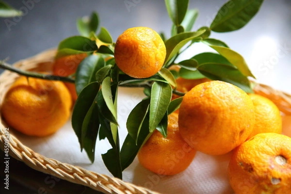 Obraz 橙の枝と実
