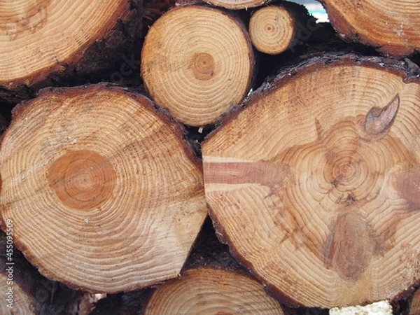 Obraz 積みあがった丸太