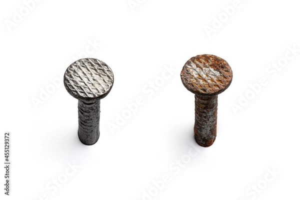 Obraz Two metal nail head isolated on white background