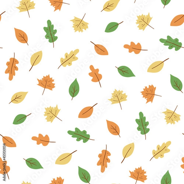 Obraz Autumn leaves hand drawn pattern. Leaf fall season. Vector leaves illustration isolated on white.
