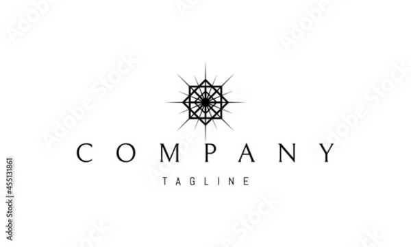 Fototapeta Vector logo on which an abstract image of a pattern of squares in the form of a star.