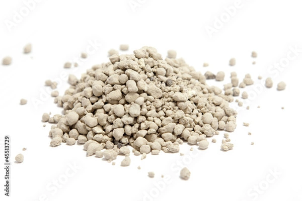 Obraz cat litter isolated