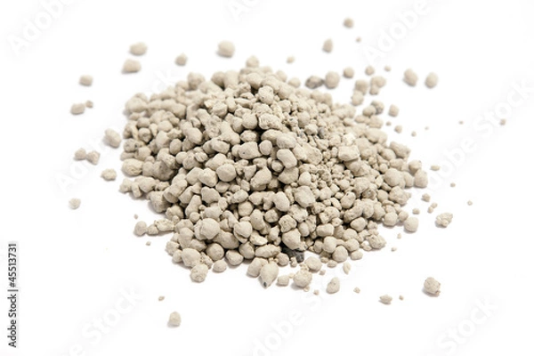 Obraz cat litter on white