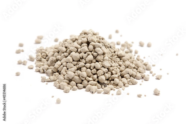 Obraz cat litter isolated