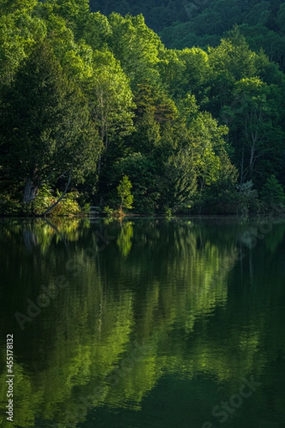 Obraz 高原の湖畔と新緑のリフレクション